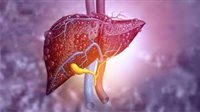 اكتشاف أفضل مؤشر بيولوجي لسرطان الكبد (كافة المعلومات)